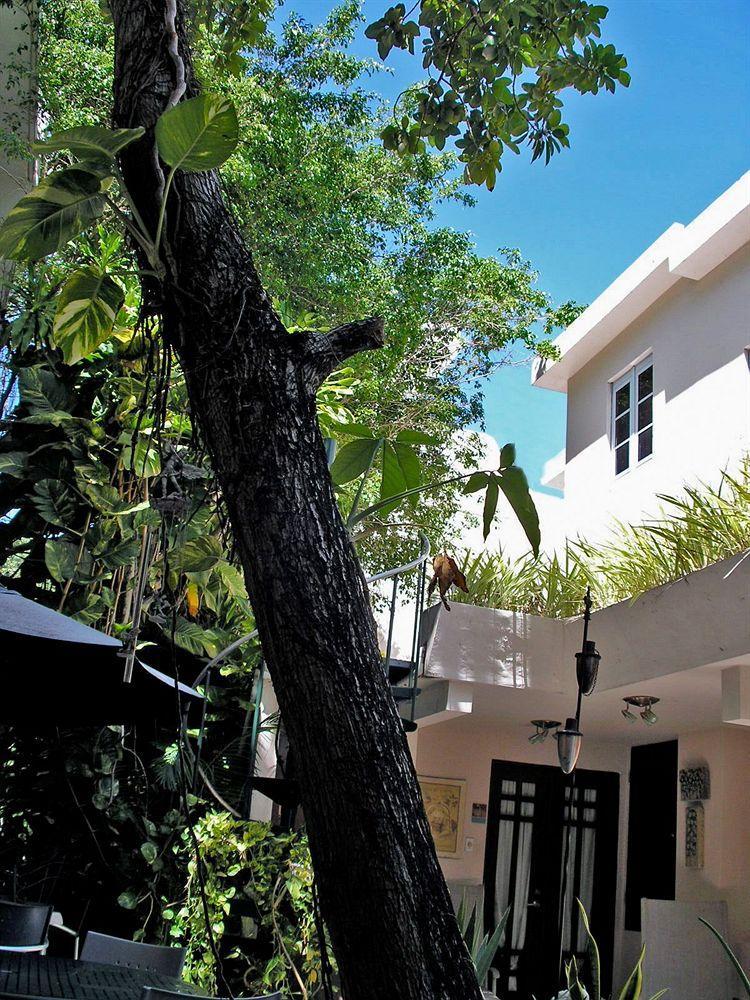 Oceana Hostal Playero ซานฮวน ภายนอก รูปภาพ